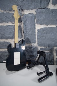 Fender Stratocaster (17)